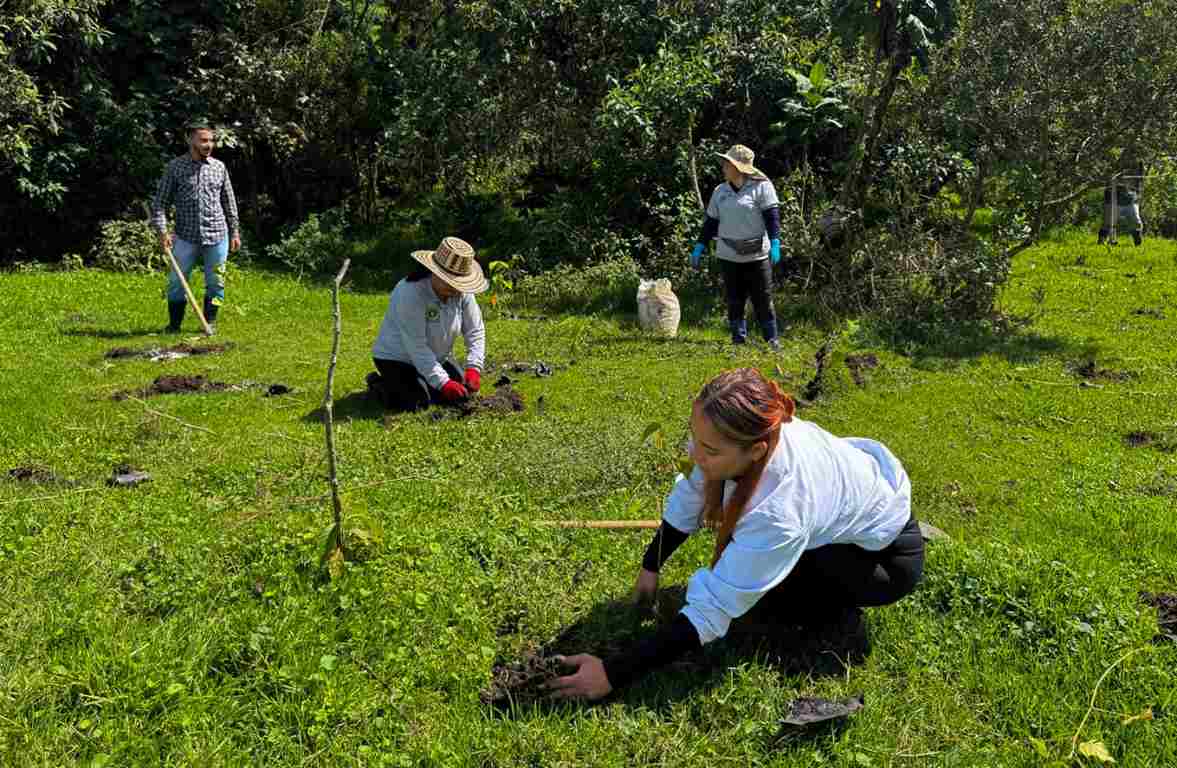 ¡Sembramos vida en el humedal San Germán!
