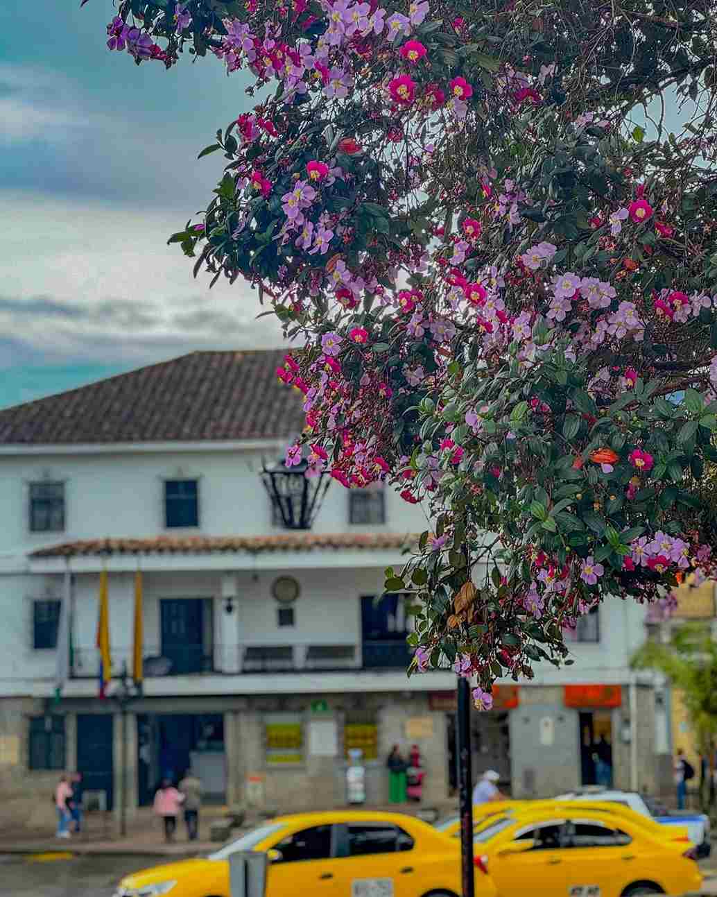 Alcaldía Municipal de Sonsón