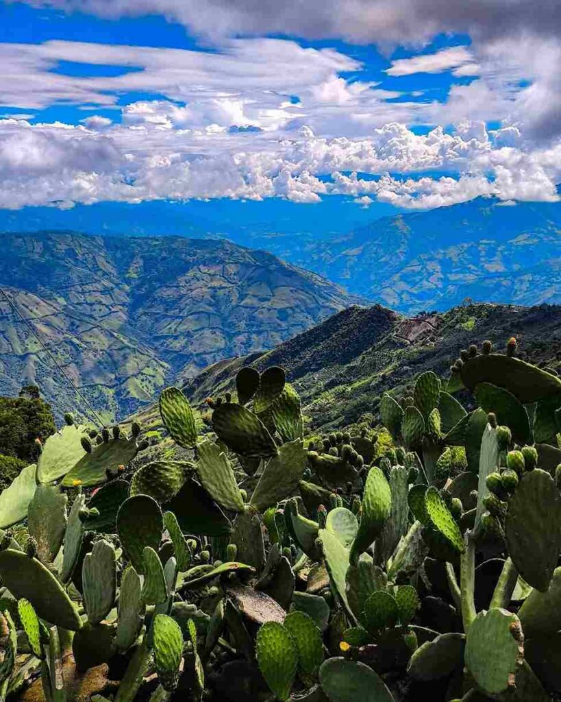 Sonsón
