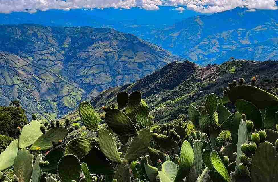 El Roblal Arriba, un lugar mágico que debes visitar
