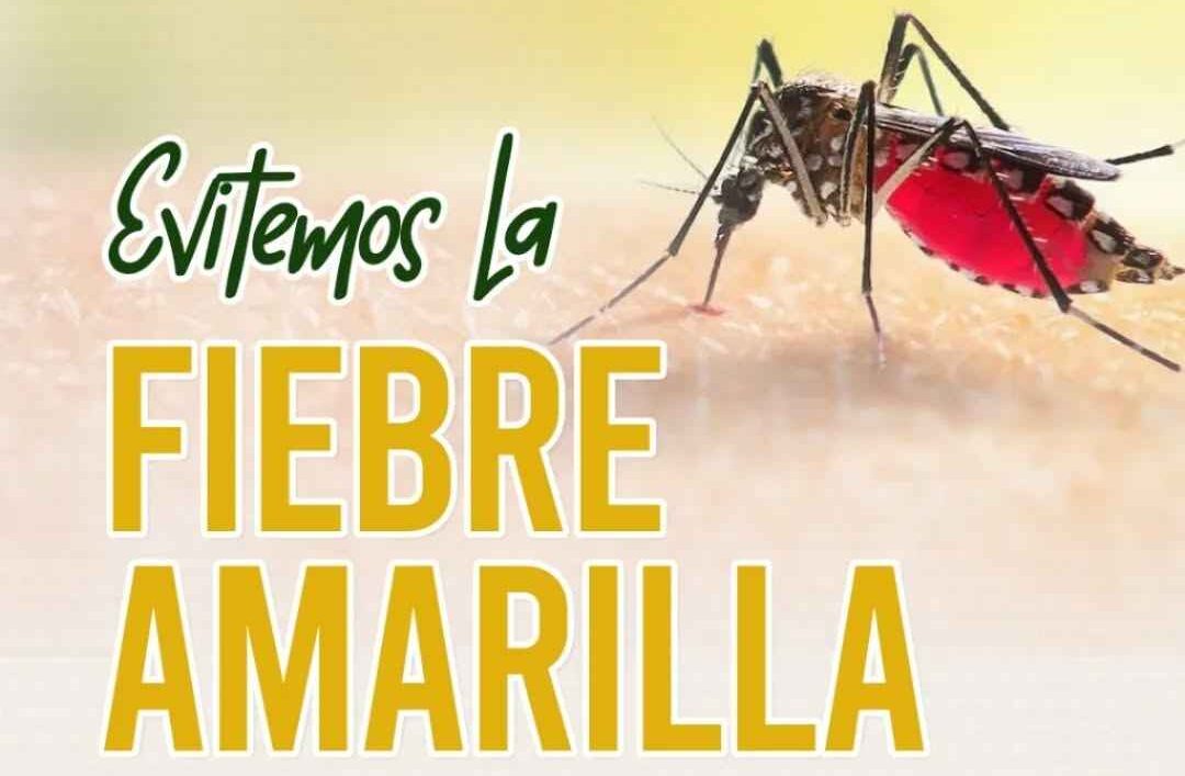 ¡Evitemos juntos la fiebre amarilla!