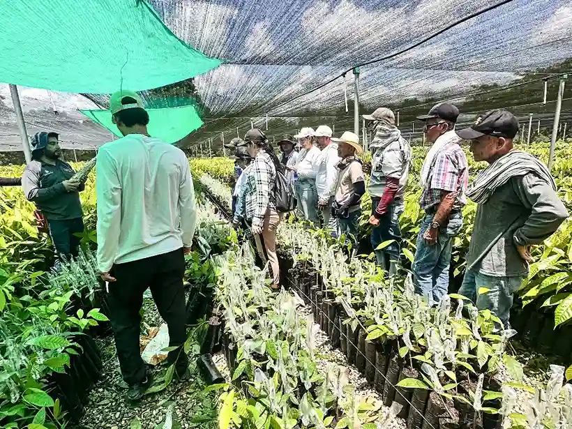Acompañamos a la Asociación ASPROGFU de La Danta en la finca Yariguíes
