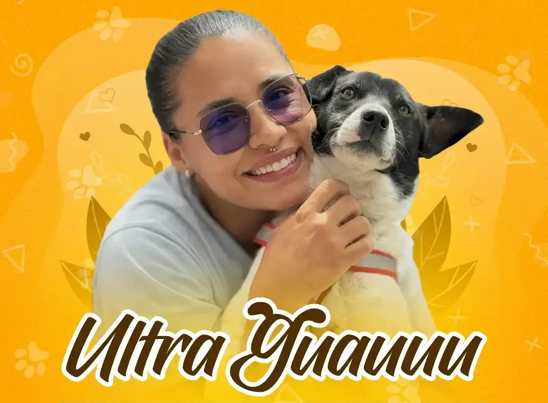 Jornada de bienestar y adopción de caninos en El Lago de Sonsón