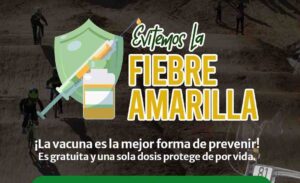 Fiebre Amarilla