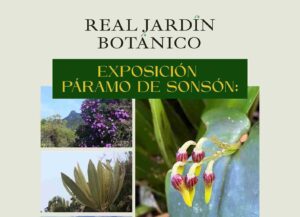 Páramo de Sonsón