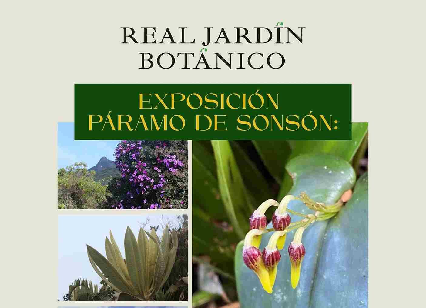 Exposición Páramo de Sonsón & Cátedra de la Naturaleza