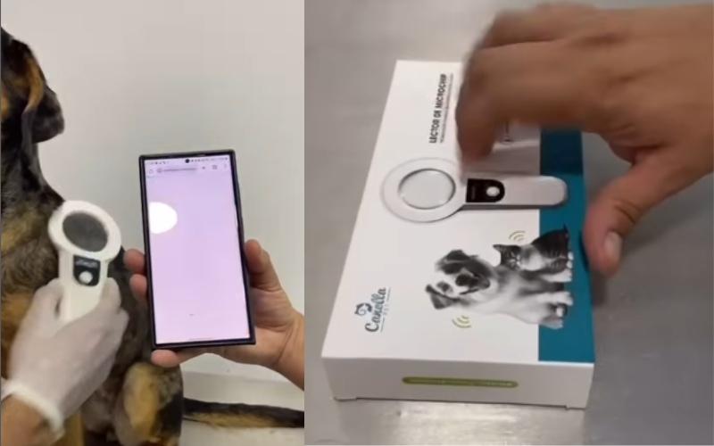 Sonsón: Protege a tu peludito con un microchip internacional