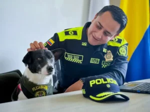 Sonsón