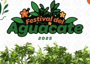 Festival del Aguacate