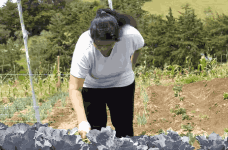 Feliz Día Internacional de las Mujeres Rurales y Campesinas