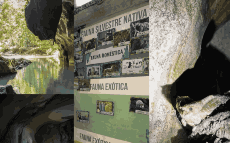 Foro sobre Turismo Responsable en Ecosistemas Kársticos