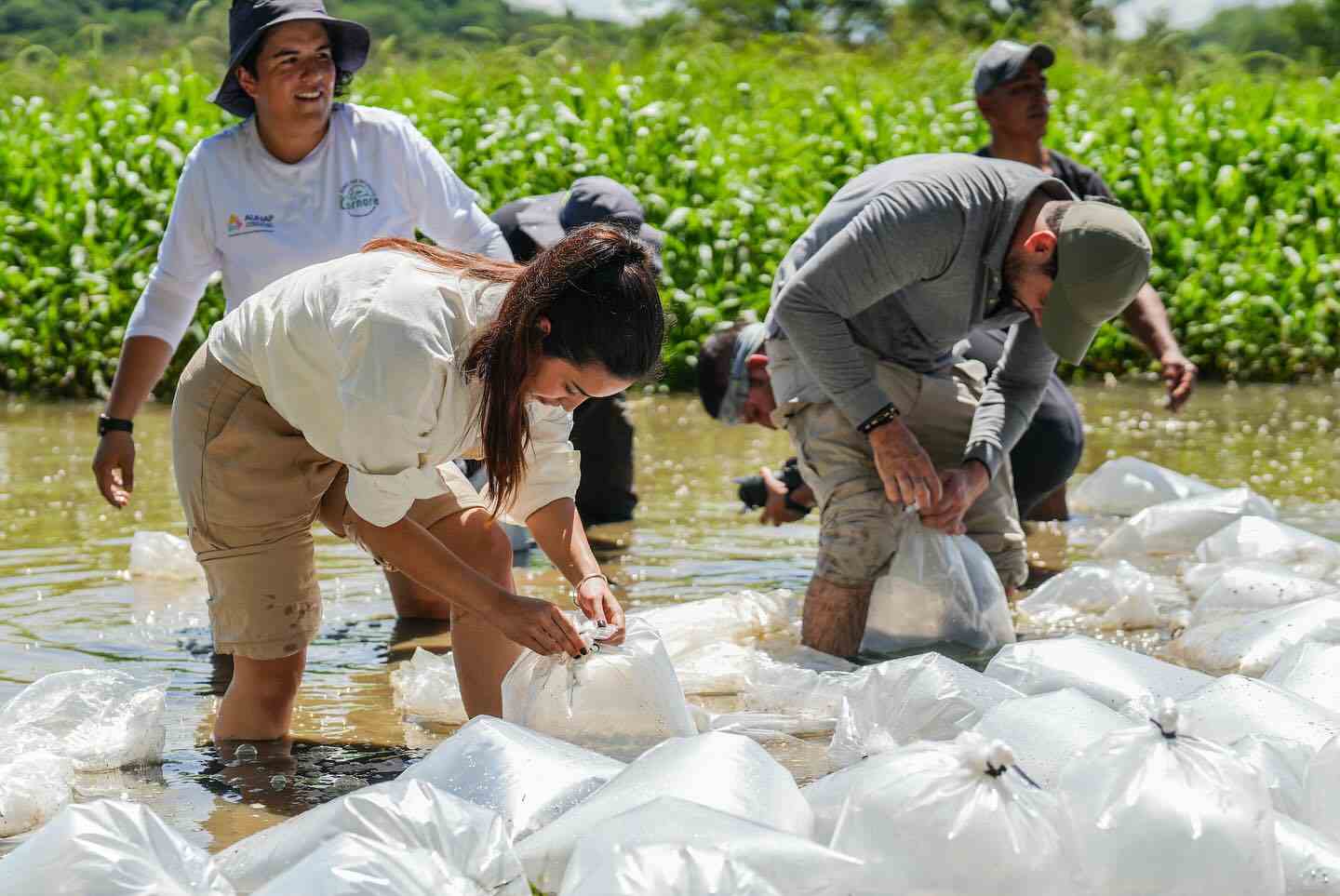 Liberamos más de 130 mil alevines de bocachico en el Río La Miel