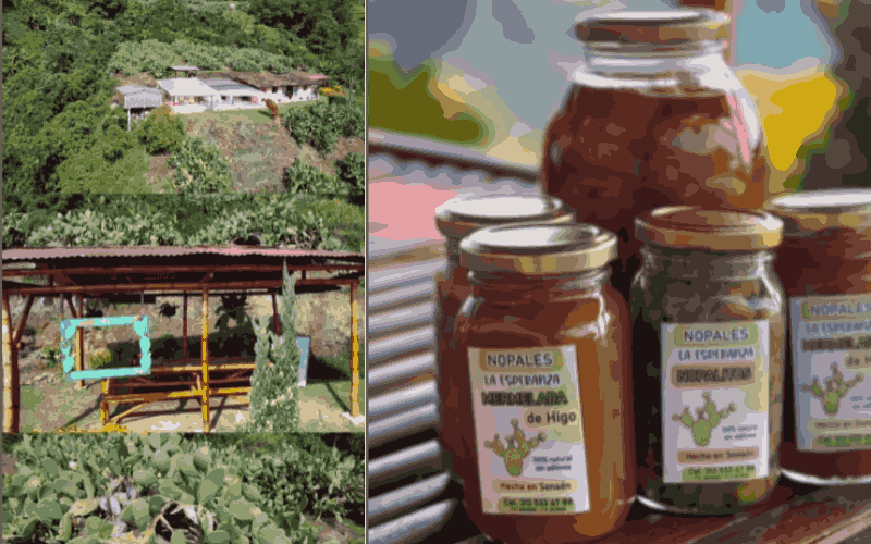 Sonsón: Sabores que nacen de la tierra
